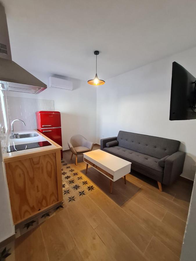 El Aljibe De Cobarrubias, Apartamento 3, Terraza Privada ベヘール・デ・ラ・フロンテーラ エクステリア 写真